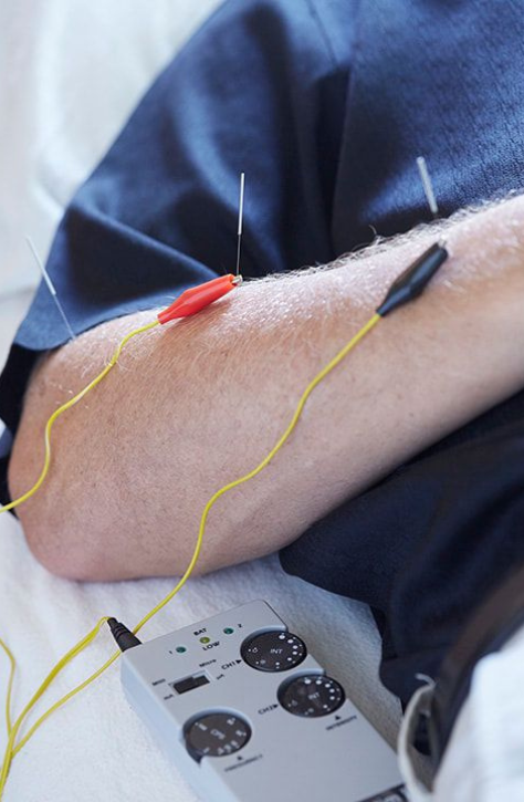 httpskamalininaturecure.in (3)